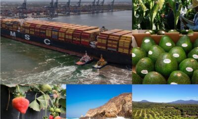 Michoacán entre las entidades con poco crecimiento económico a nivel nacional