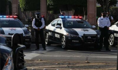Policía de Morelia "intentará" evitar riñas en toritos de petate