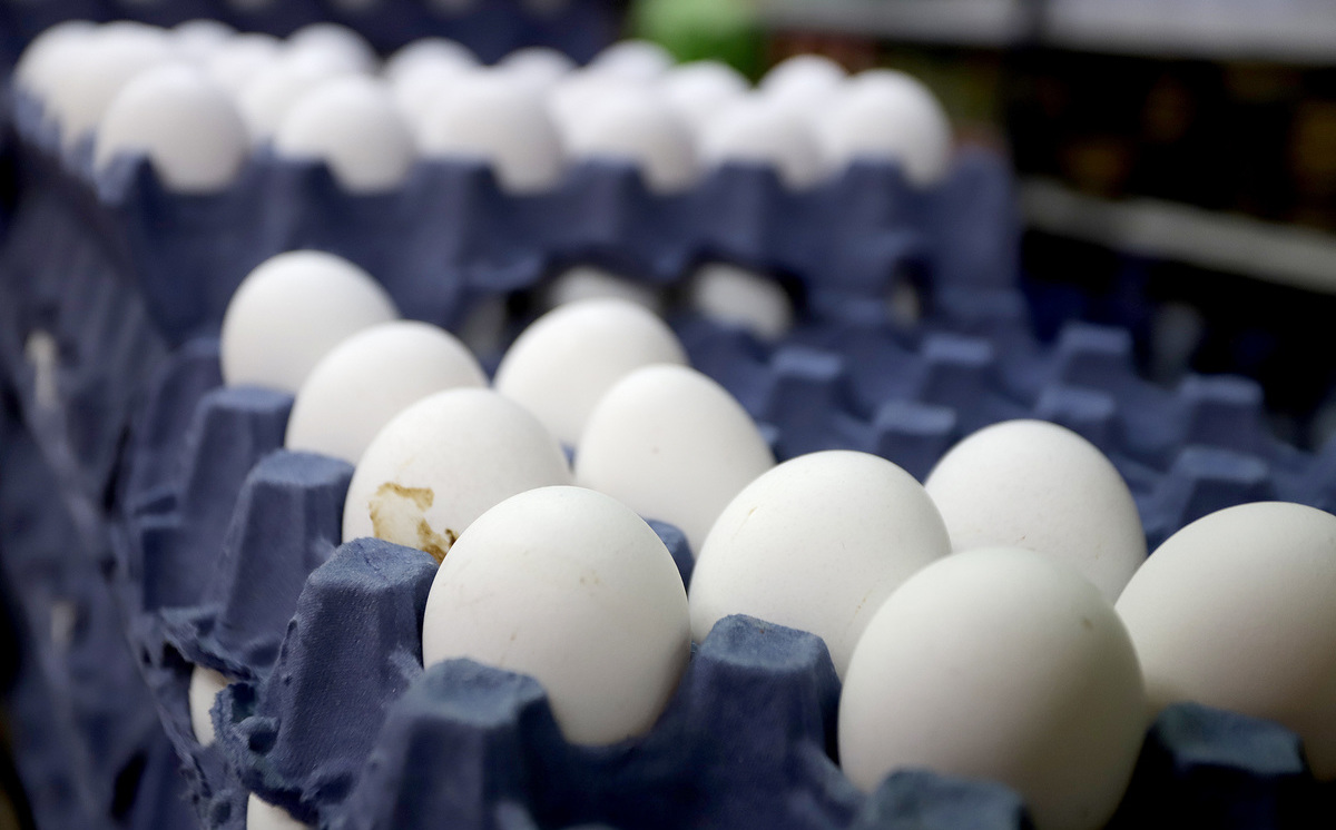 Sí existe especulación en precio de huevo
