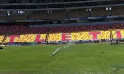 cancha perfectas condiciones