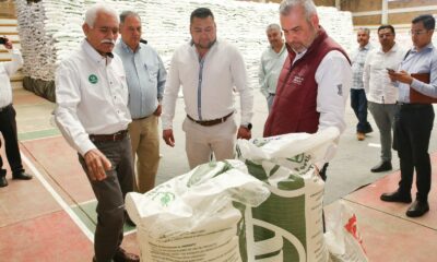 Bedolla fertilizante Meseta Purépecha