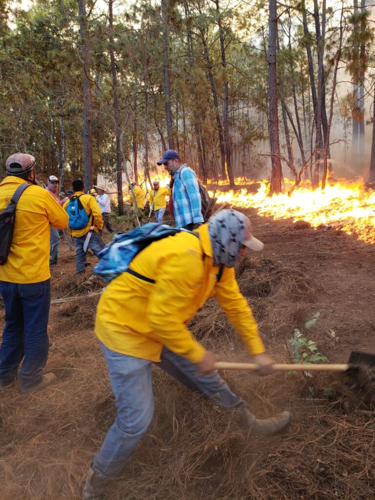 Cofom mantiene trabajos para extinguir incendio forestal en Cotija