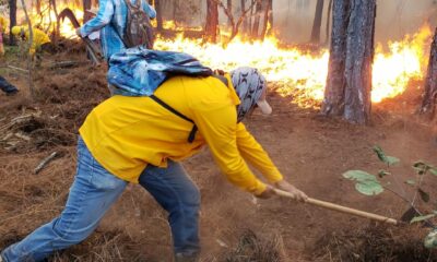 Cofom mantiene trabajos para extinguir incendio forestal en Cotija