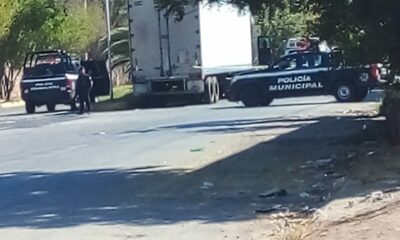 Conductor de tráiler es hallado sin vida dentro de su camión