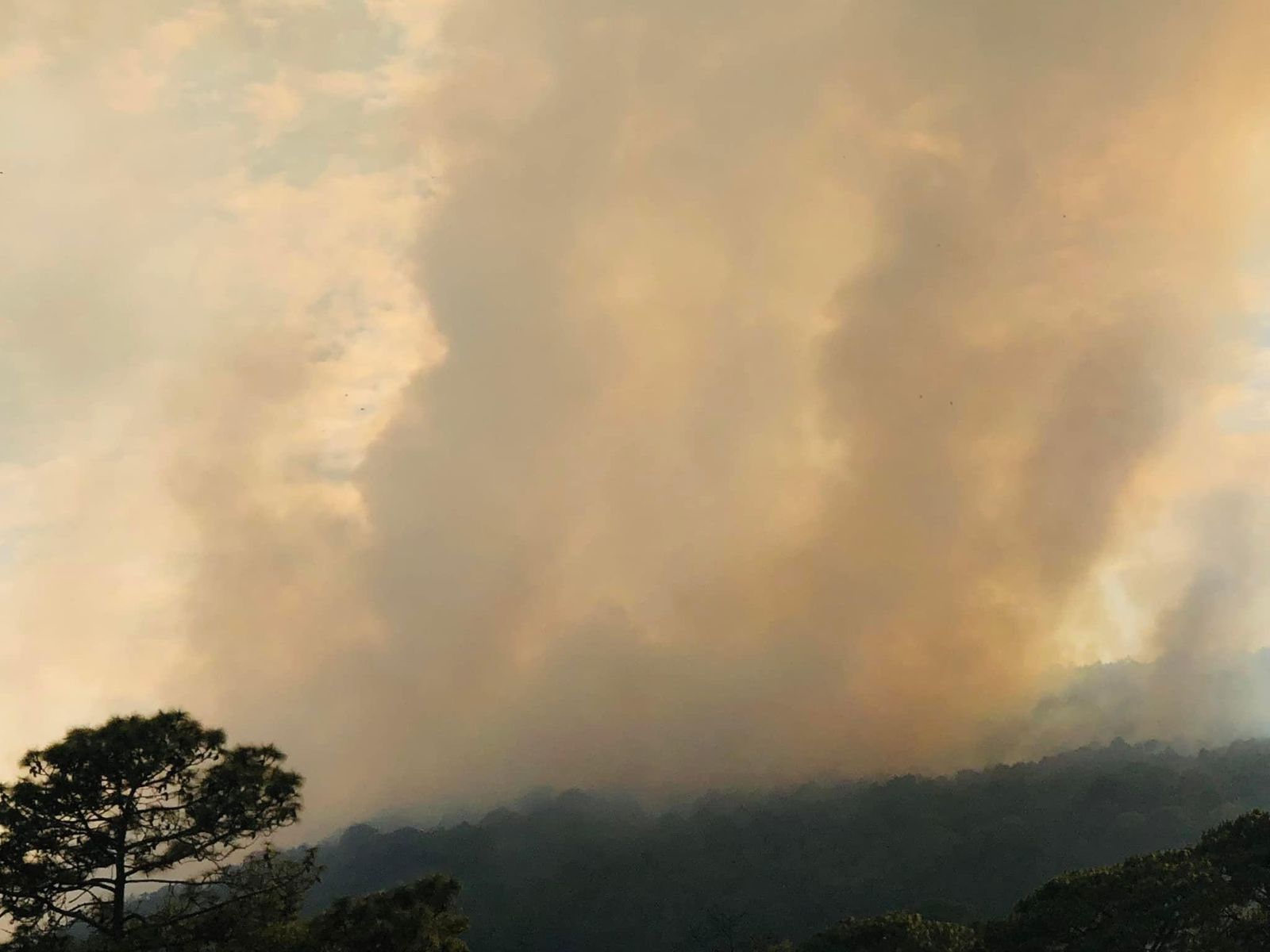 Fuera de control incendio en monte de Cotija