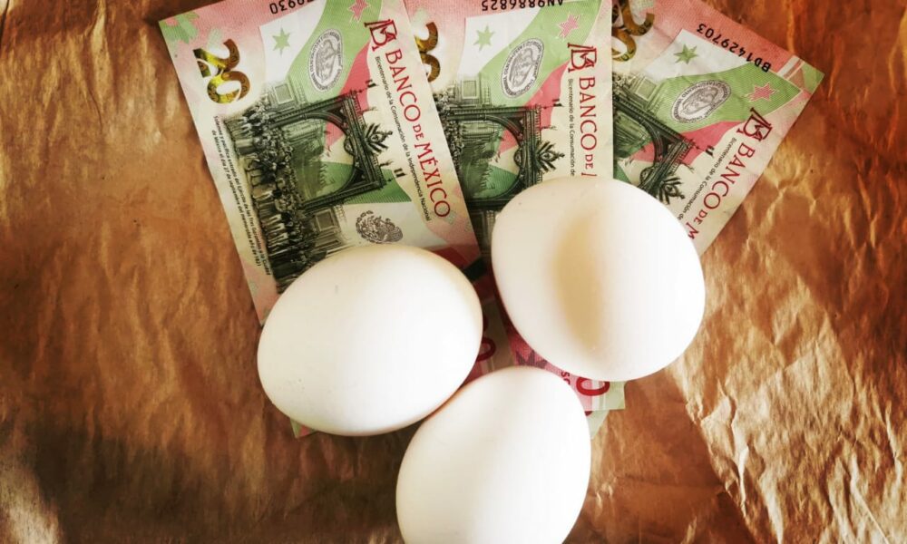 Hasta $54.00, precio del huevo en Michoacán; ¿por qué subió y cuándo bajará