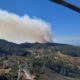 Liquidan incendio forestal en Cotija