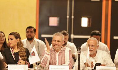 Michoacán recursos seguridad pública