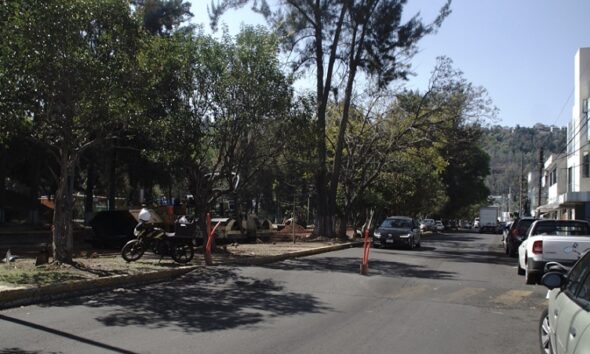 Morelia Obras especialistas