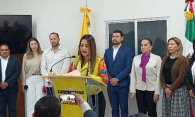 Tras renuncia de Manríquez, nueva coordinadora de diputados del PRD es Mónica Valdés