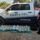 Asegura Policía Estatal cargamento de marihuana en Lázaro Cárdenas
