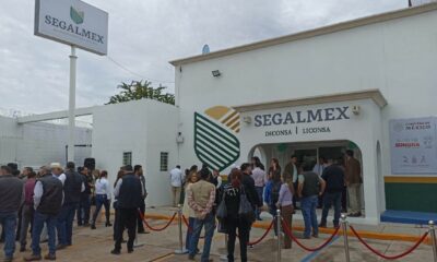 Se ampara exdirector de Finanzas de Segalmex para evitar prisión