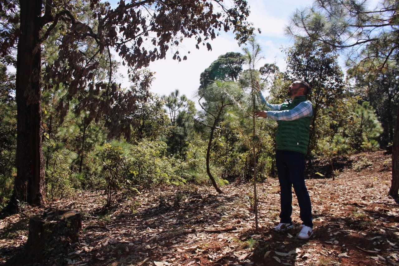 Ilegales, cobros establecidos en reglamento ambiental de Morelia