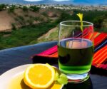 Rutas del mezcal en Michoacán: la bebida espirituosa de la región