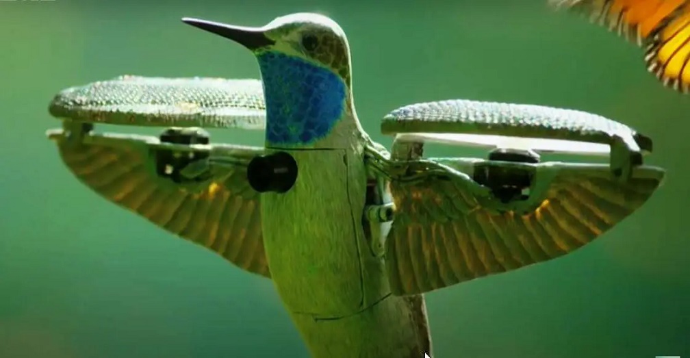 dron colibrí mariposas monarcas