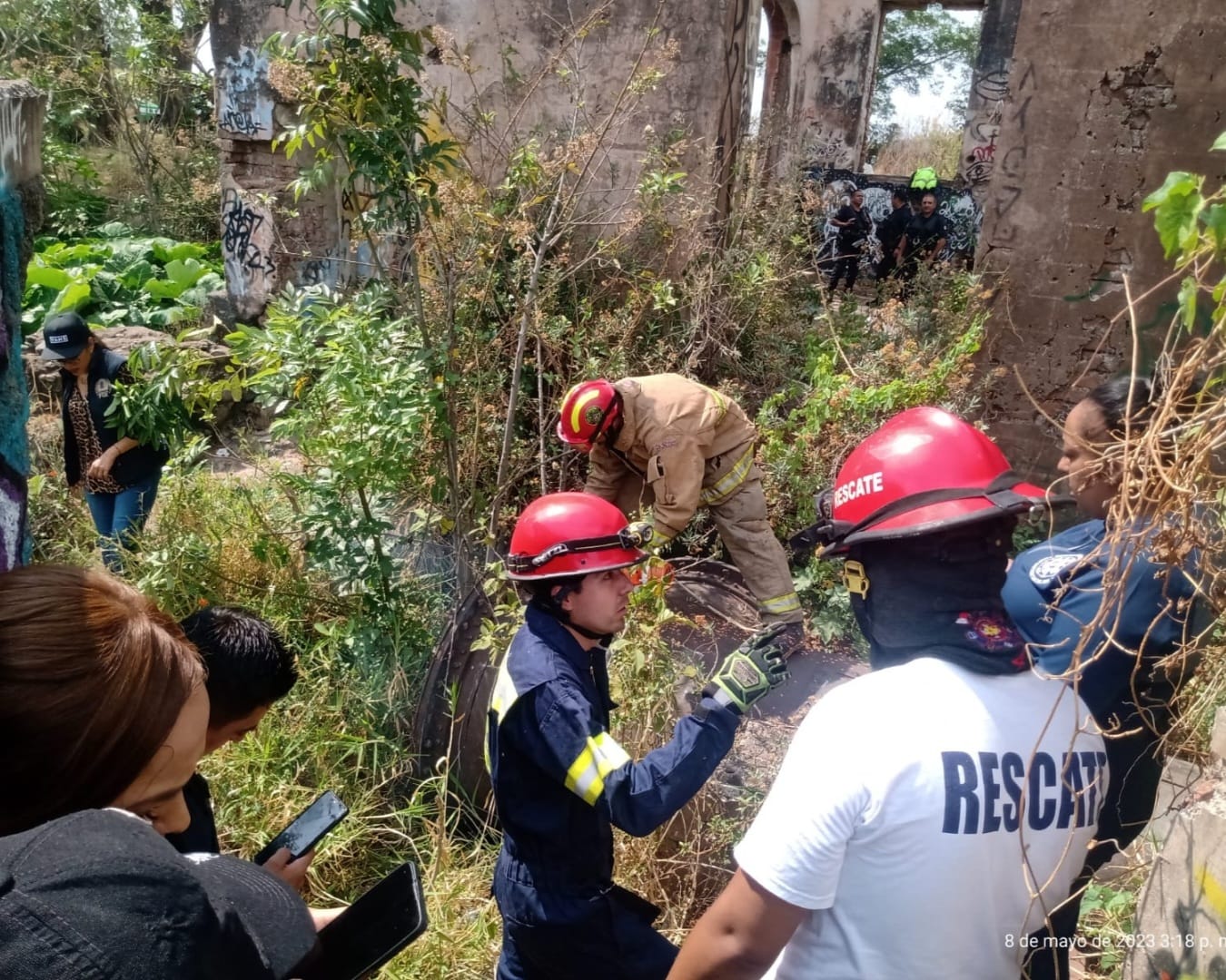 Hallan 3 cuerpos desmembrados en Jacona