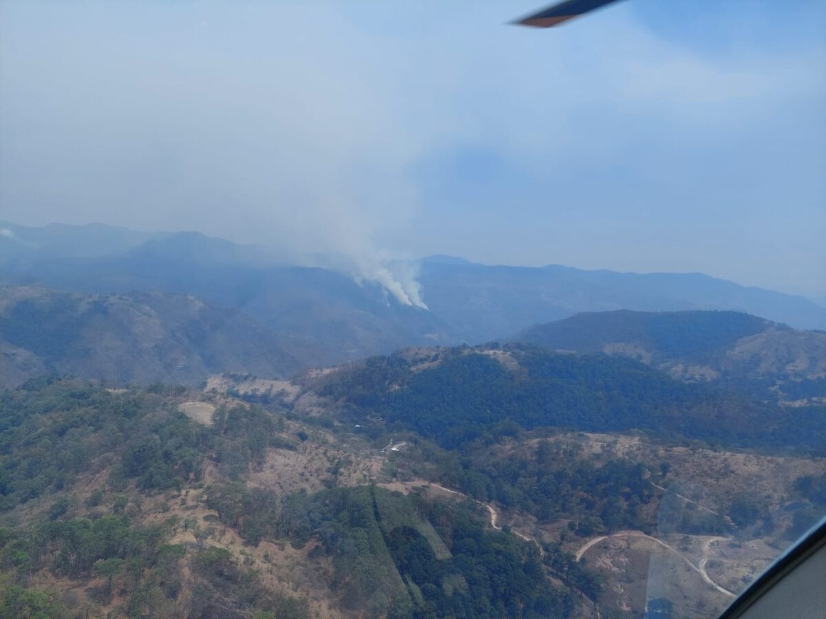 Atiende Gobierno de Michoacán incendio forestal en Madero
