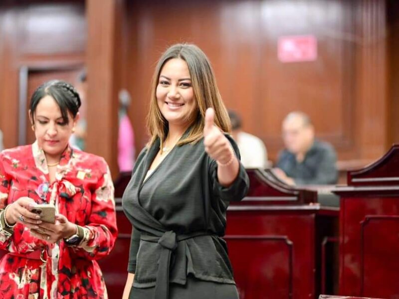 Norma debe contemplar los distintos tipos de violencia contra las mujeres: Mónica Valdez