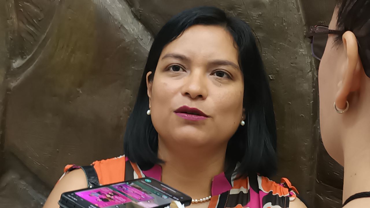 Riesgo de viciar proceso para consultas indígenas sobre Ley de Educación