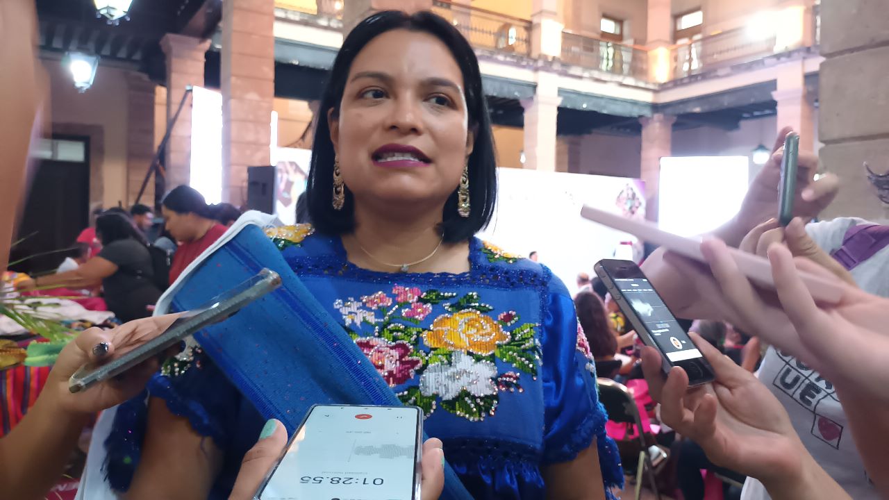 En Morena a veces hemos cometido cosas que dijimos no se harían