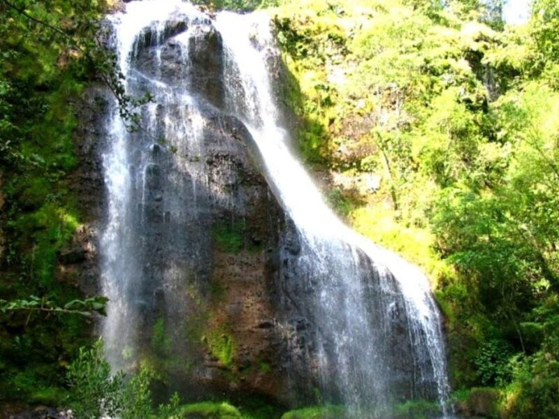 Cascadas, bosques y caminata, a menos de una hora de Morelia