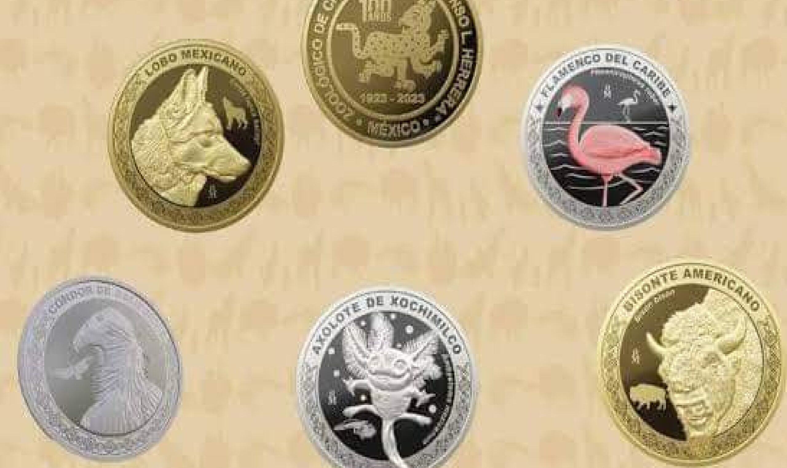 Colocan a ajolote en pieza especial de la Casa de la Moneda