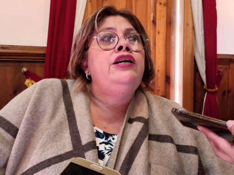 Comisiones legislativas sí están trabajando Julieta García