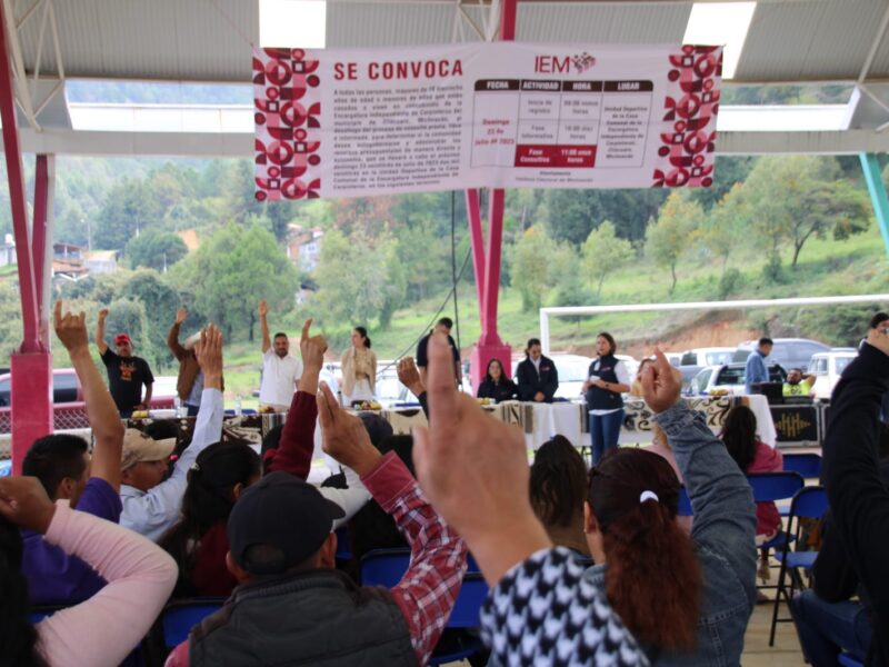 Encargatura de Carpinteros en Zitácuaro se une a gobiernos autónomos