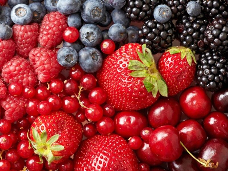 Michoacán producción frutos rojos