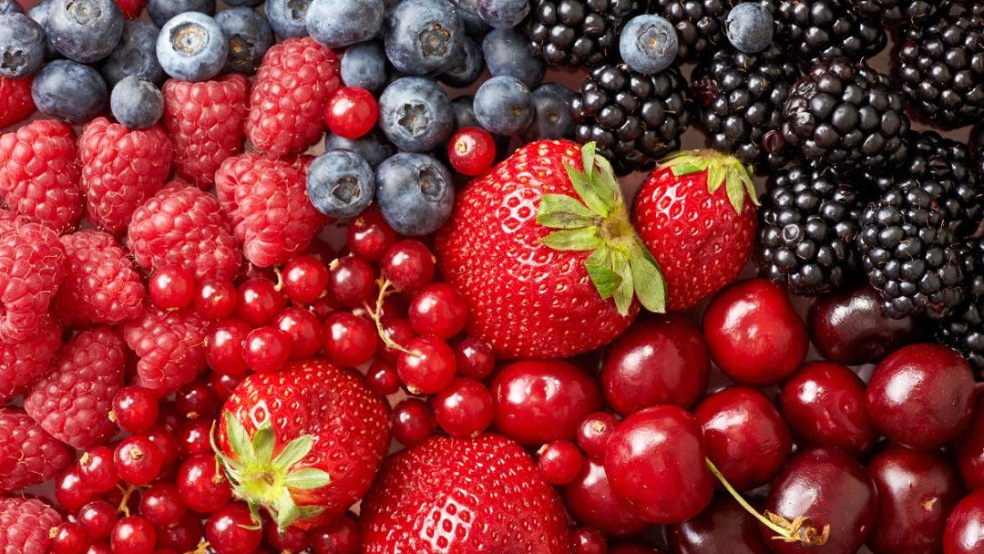 Michoacán producción frutos rojos