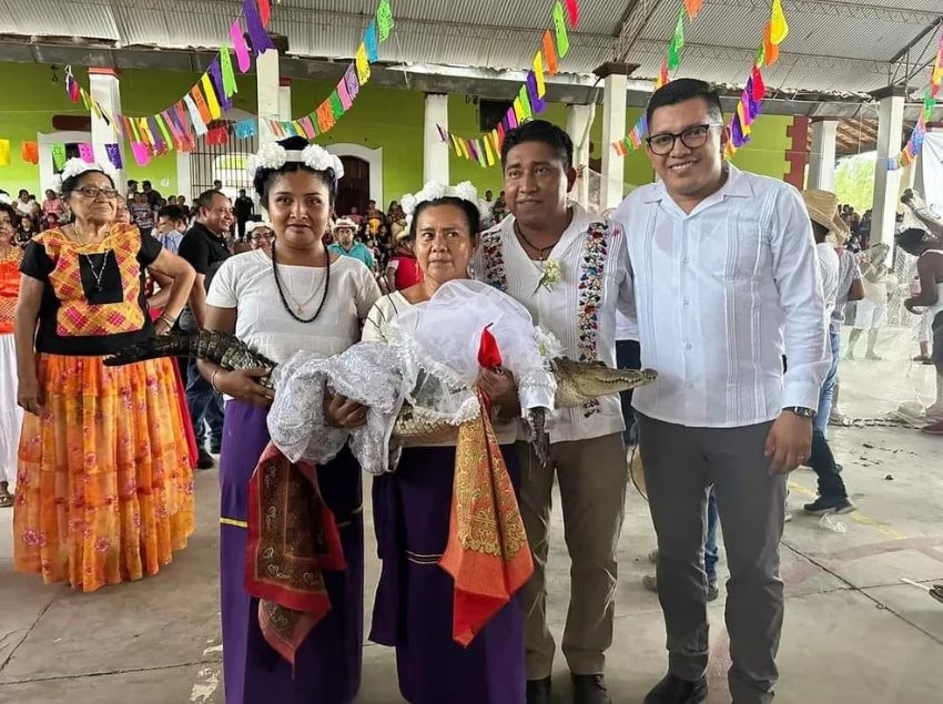 Alcalde de Oaxaca se casa con un caimán