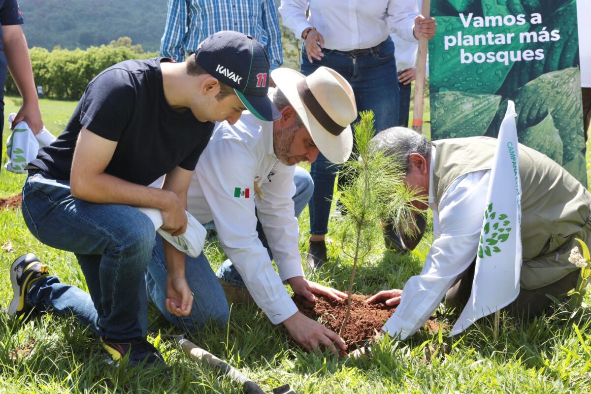 Conservación del Cerro del Punhuato incluirá un jardín botánico Bedolla