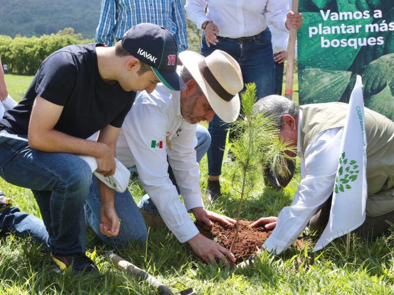 Conservación del Cerro del Punhuato incluirá un jardín botánico Bedolla