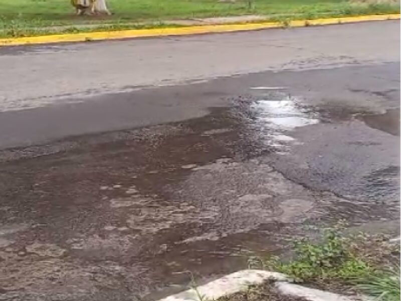 Fuga de agua en Arboledas Valladolid en Morelia lleva días sin atenderse