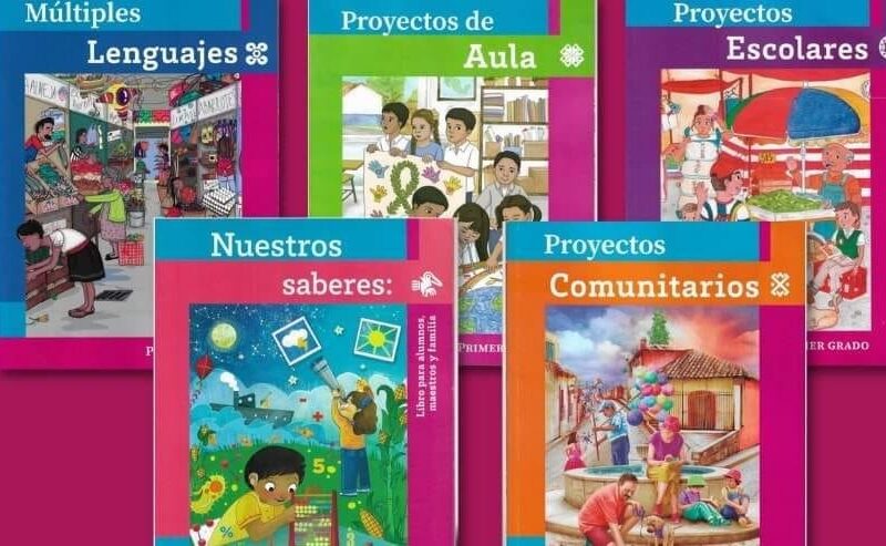 Niega titular de SEP responder por errores ortográficos y plagio en libros de texto gratuitos