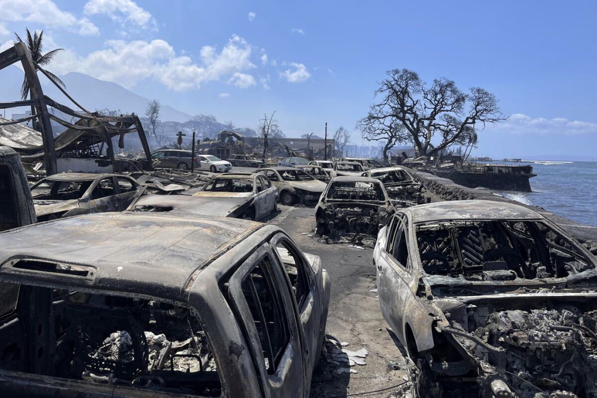 Celebridades externan condolencias tras incendio en Maui