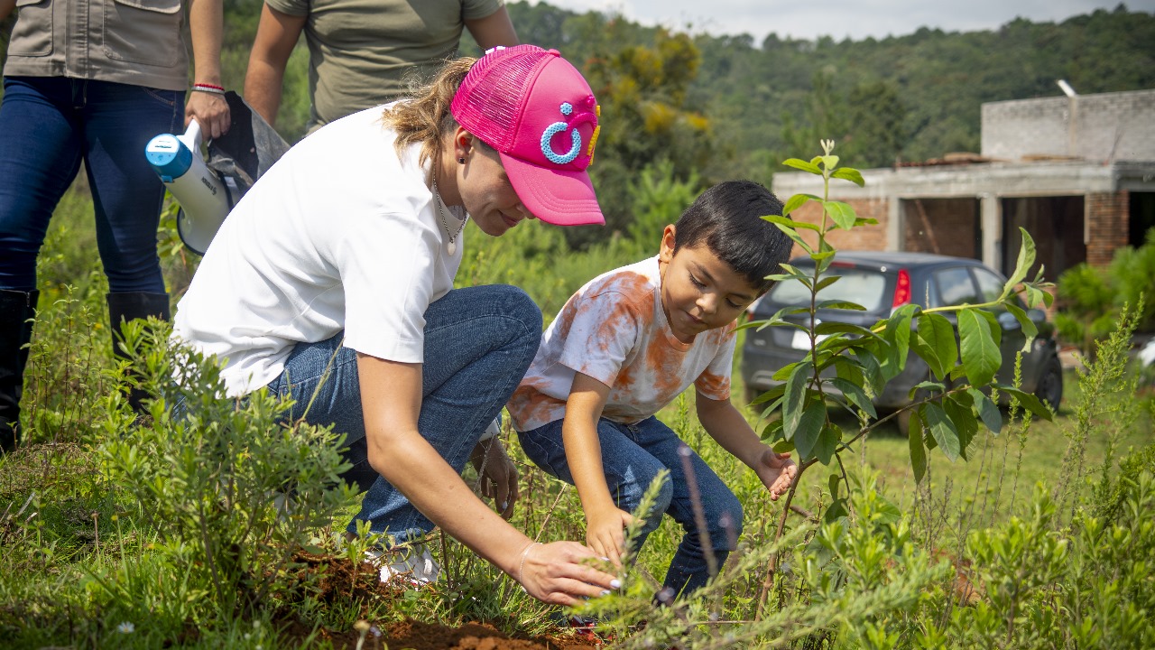 Daniela-De-Los-Santos-reforestacion-Umecuaro