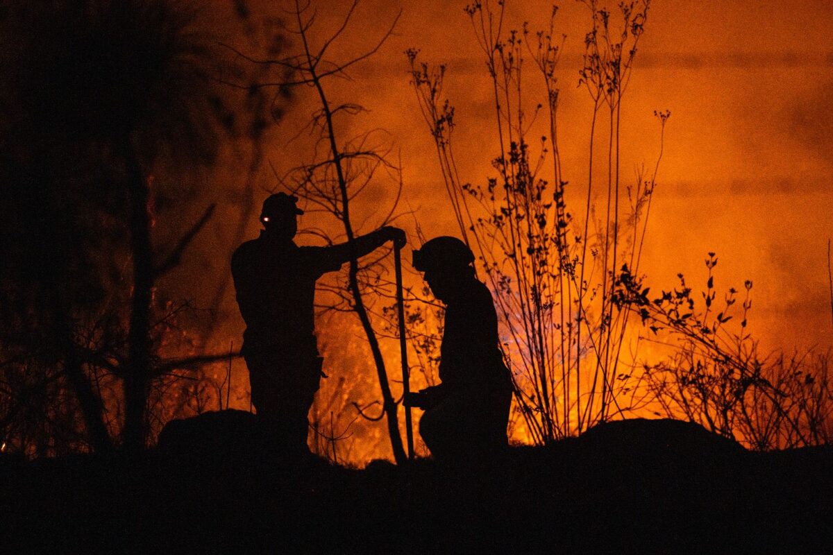 Gobierno de Bedolla incendios forestales