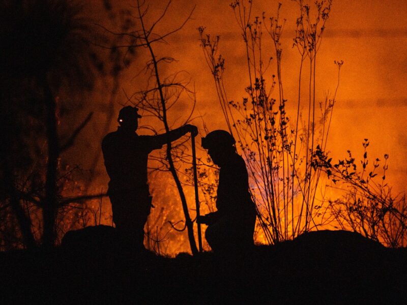 Gobierno de Bedolla incendios forestales