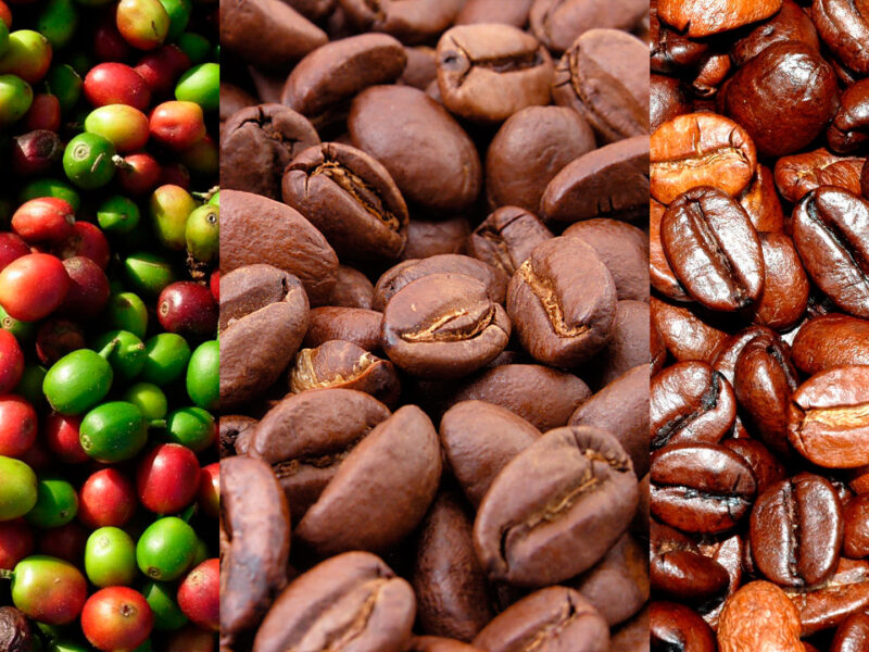 zonas de Michoacán que producen café