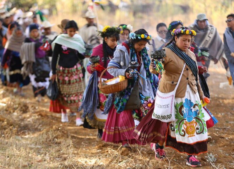 ¿Qué lenguas y dialectos se hablan en Michoacán?