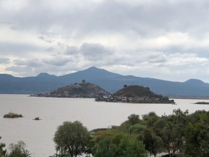 Agoniza Lago de Pátzcuaro; “saquean” agua para plantíos de aguacate