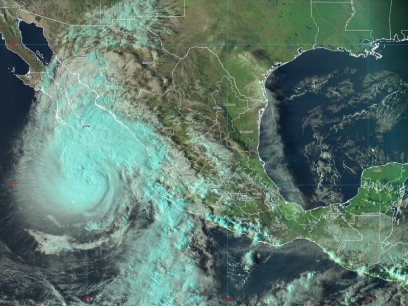 Varios estados esperan de 0 a 5 grados este fin de semana: SMN