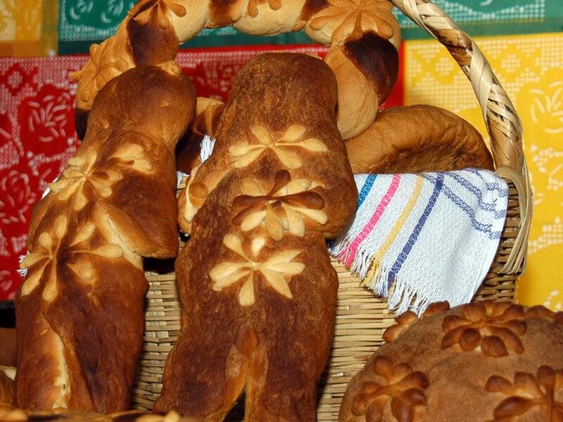 Conoce las variedades de pandemuerto que existen