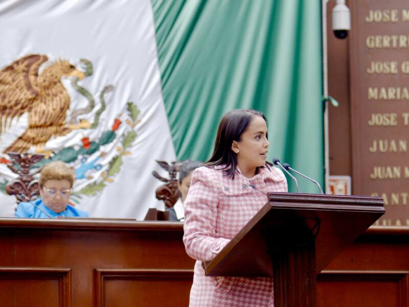 Insuficientes, políticas públicas en materia de inclusión educativa para alumnos con Trastorno del Espectro Autista Andrea Villanueva