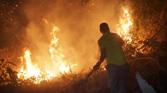 Recibirá Bolivia apoyo de Francia contra incendios forestales