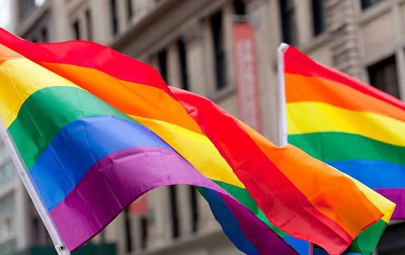 TEPJF ordena garantizar representación LGBT para elecciónpopular