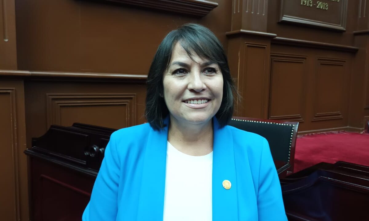 Diputados del PAN “no somos la oveja negra” de la Alianza; Lariza Pérez