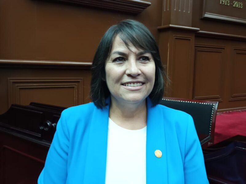 Diputados del PAN “no somos la oveja negra” de la Alianza; Lariza Pérez