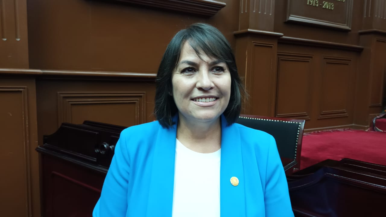 Diputados del PAN “no somos la oveja negra” de la Alianza; Lariza Pérez